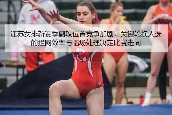jiang-su-nv-pai-xin-sai-ji-fu-gong-wei-zhi-jing-zheng-jia-ju-guan-jian-lun-huan-ren-xuan-de-lan-wang-xiao-lv-yu-lin-2-350.jpg